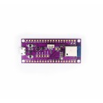 Zio Qwiic nrf52840 Dev Board | 101968 | Brain Modules by www.smart-prototyping.com